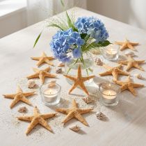 položky Hvězdice rozptylová dekorace home deco mini hvězdice příroda 2-4cm 50p