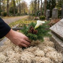 položky Dekorativní mech sušený lesní mech bělená přírodní dekorace 300g