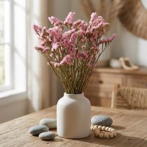 položky Beach Lilac Pink Limonium Sušené květiny 60cm 50g
