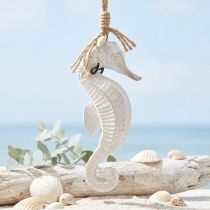 položky Dekorace Mořský koník na zavěšení White Wash 27cm