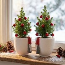 položky Vánoční květináč s trpaslíkem, adventní dekorace, betonový květináč bílý, červený Ø8cm V12,5cm 2ks