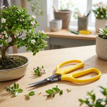 položky Bonsai &amp; klešťové nůžky Oasis 15,5 cm