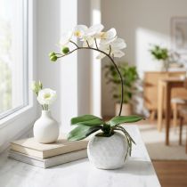 položky Krém Phalaenopsis v keramickém hrnci 33cm