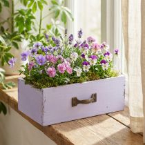 položky Květináč Dekorativní zásuvka Shabby Chic Wood Purple 25×13×8cm