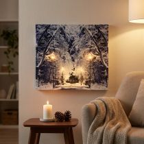 položky LED obraz zimní krajinářský park s lucernami LED fototapeta 58x38cm