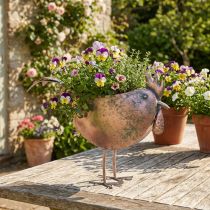 položky Květináč Chicken Metal Bird Metallic Rosé 51×16×37cm