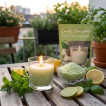 položky Voskové granule svíčky s vůní citronové trávy 400g