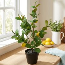 položky Umělý citroník v květináči, 65 cm, dekorativní rostlina, umělá rostlina