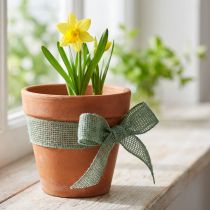 položky Jutová stuha, síťovaná stuha, ozdobná stuha, juta, zelená šalvěj, šířka 5 cm, délka 40 m