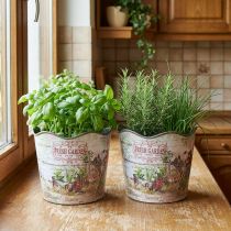 položky Květináč na bylinky plastový Fresh Garden H13,5cm 2ks