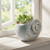 položky Dekorativní nádoba ve tvaru šneka pro námořnický a přírodní nástěnný design, šedá, 21 cm
