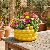 položky Květináč citron keramická miska květináč žlutý Ø26cm V12cm