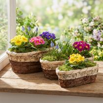 položky Podnos na rostliny, přírodní dřevo, 3-barevný, L29,5/25/23 cm, sada 3 ks