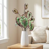 položky Begonia Umělé rostliny Listové Begonie Zelenofialové 62cm