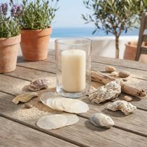 položky Slávka ústřičná capiz plátky v síti natural 3,5–9,5 cm 2ks