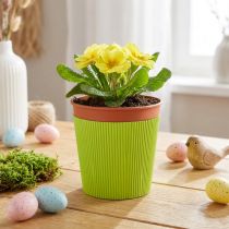 položky Plisované manžety na květináče světle zelené 14,5cm 100 kusů