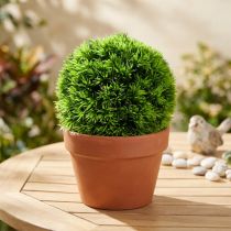 položky Koule z trávy dekorativní koule zelená umělé rostliny kulatá Ø18cm 1 ks