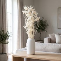 položky Sušené květy Nigelly, kytice elegantní přírodní dekorace pro exkluzivní interiéry, 70 cm, 50 g