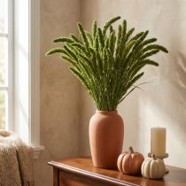 položky Sušené květiny, Setaria Pumila, štětinovité proso zelené 75 cm 200 g
