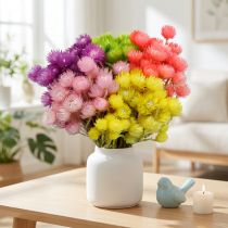 položky Sušené květiny Deco Cap Flowers Slámové květiny barevné V42cm