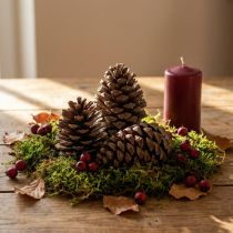 položky Šišky Pinus Maritima 10cm - 15cm přírodní 3 kusy