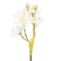 položky Větvička narcisu pro sezónní svatební aranžmá, krásná, 33 cm, 6 kusů