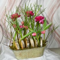 položky Jarní dekorace květináč oválná kovová miska na rostliny s uchy vintage 28×15cm