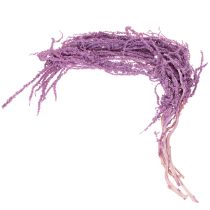 položky Sušené květiny liščího ocasu, barvené, pro moderní bytovou dekoraci, 100 cm, 5 kusů