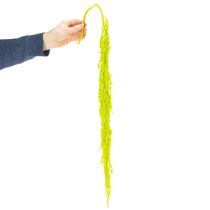 položky Sušené květiny liščího ocasu, barvené, pro speciální bytovou dekoraci a jedinečné akcenty, 100 cm, 5 kusů