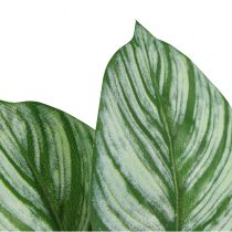 položky Calathea umělý koš Marante umělé rostliny zelený 51cm