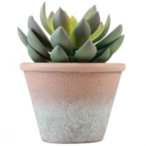 položky Sukulentní rostlina v květináči Echeveria umělá zelená vintage Ø15cm H16cm