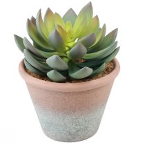 položky Sukulentní rostlina v květináči Echeveria umělá zelená vintage Ø15cm H16cm