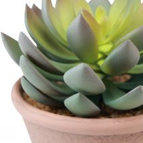 položky Sukulentní rostlina v květináči Echeveria umělá zelená vintage Ø15cm H16cm
