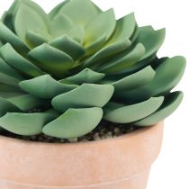 položky Sukulentní rostlina v květináči Echeveria umělá zelená Ø15cm