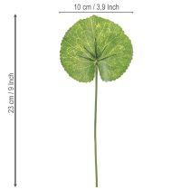 položky Galax Urceolata Listy umělé zelené Ø10cm L23cm 12 ks