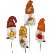 položky Garden Stakes Gnome Podzimní dekorace Dřevo Assorted 39cm 8 ks