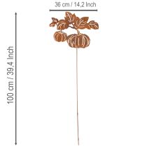 položky Zahradní kůl s motivem dýně, kovová dekorace, rezavá úprava, 100 cm