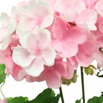 položky Geranium umělá květina Růžová muškátová keř umělá 7 květů V38cm