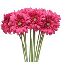 Gerbera růžová 48cm 12ks