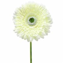 položky Gerbera umělá bílá 62cm 6 ks
