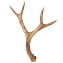 položky Umělé parohy, realistické, rustikální, 32 cm