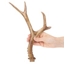 položky Umělé parohy, realistické, rustikální, 32 cm