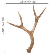 položky Umělé parohy, realistické, rustikální, 32 cm