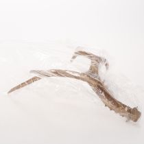 položky Umělé parohy, realistické, rustikální, 32 cm