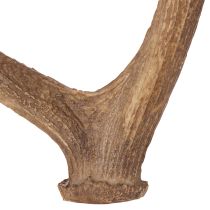 položky Dekorativní umělé parohy, rustikální dekorace chaty, 50 cm