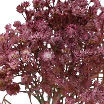 položky Gypsophila Gypsophila Gypsophila umělá fialová 35cm 5 ks