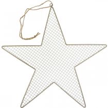 položky Metal Star Mesh Deco Star Metal Deco Gold Ø57cm