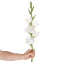 položky Umělý mečík, dlouhý stonek, do vázy, 88 cm
