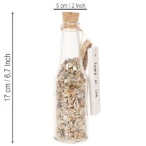 položky Dekorace na skleněnou lahev s mušlemi a přívěskem, námořní dekorace na stůl, 17 cm, 2 kusy