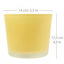 Skleněný květináč žlutý květináč skleněná vana Ø14,5cm V12,5cm